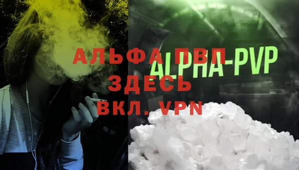 хмурый Бородино