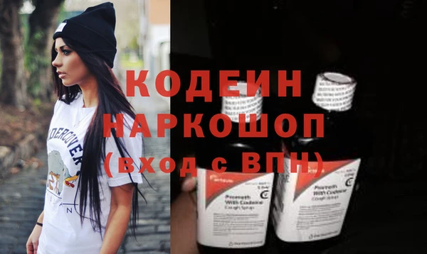хмурый Бородино