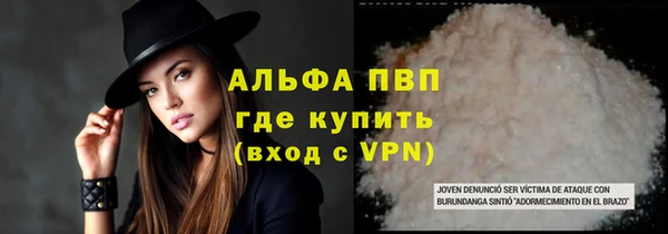 хмурый Бородино