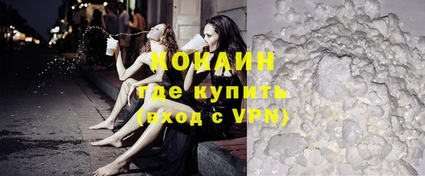 хмурый Бородино