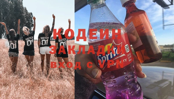 хмурый Бородино