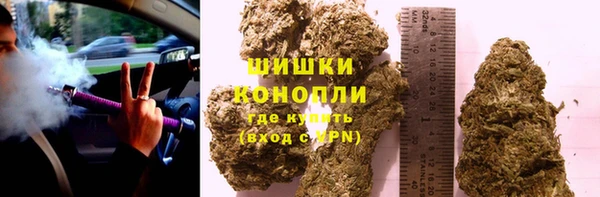 сатива Мегион